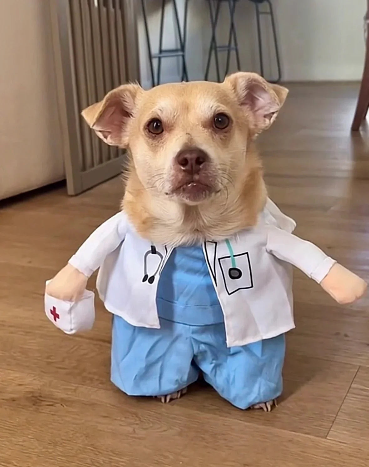 Doctor Pup Halloween Costume