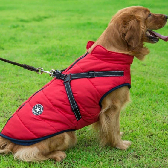 Waterproof Winter Stylish Dog Jacket with Built-in Harness