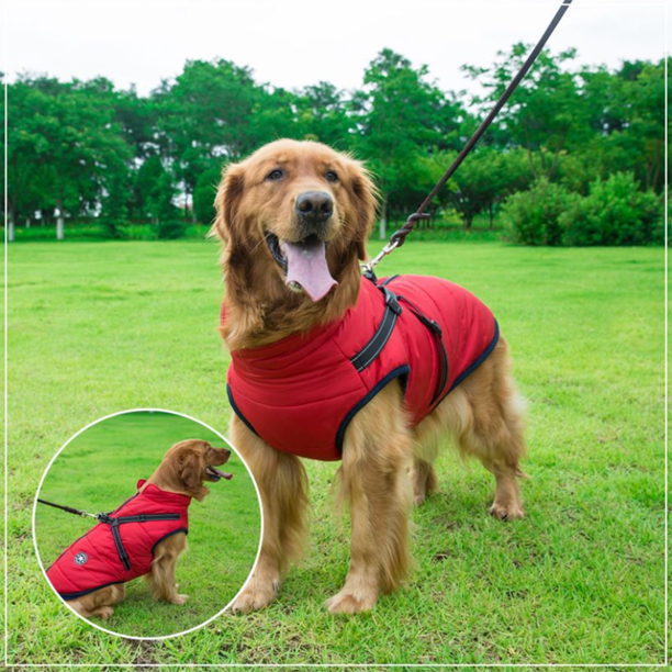 Waterproof Winter Stylish Dog Jacket with Built-in Harness