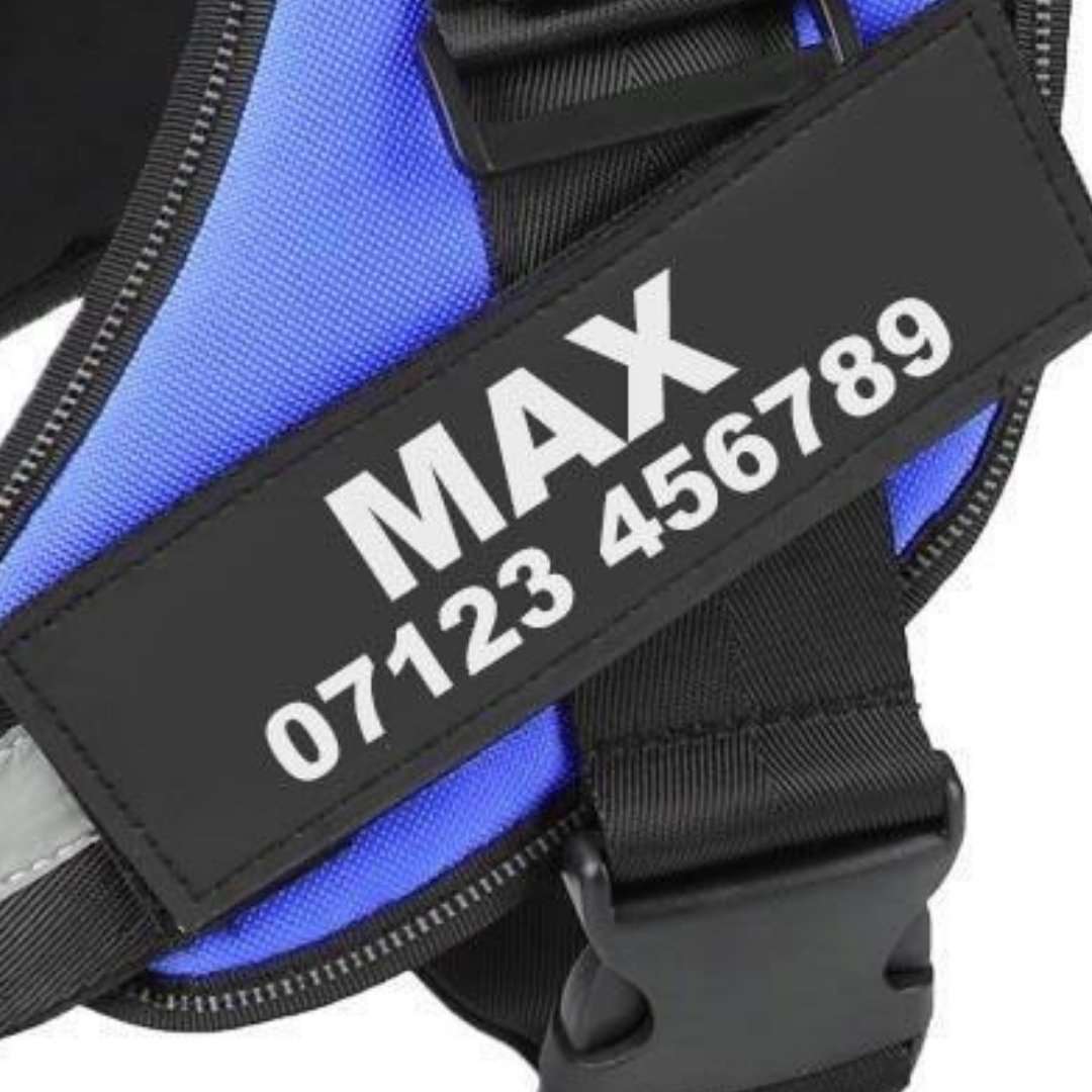 Custom Harness Name Tag