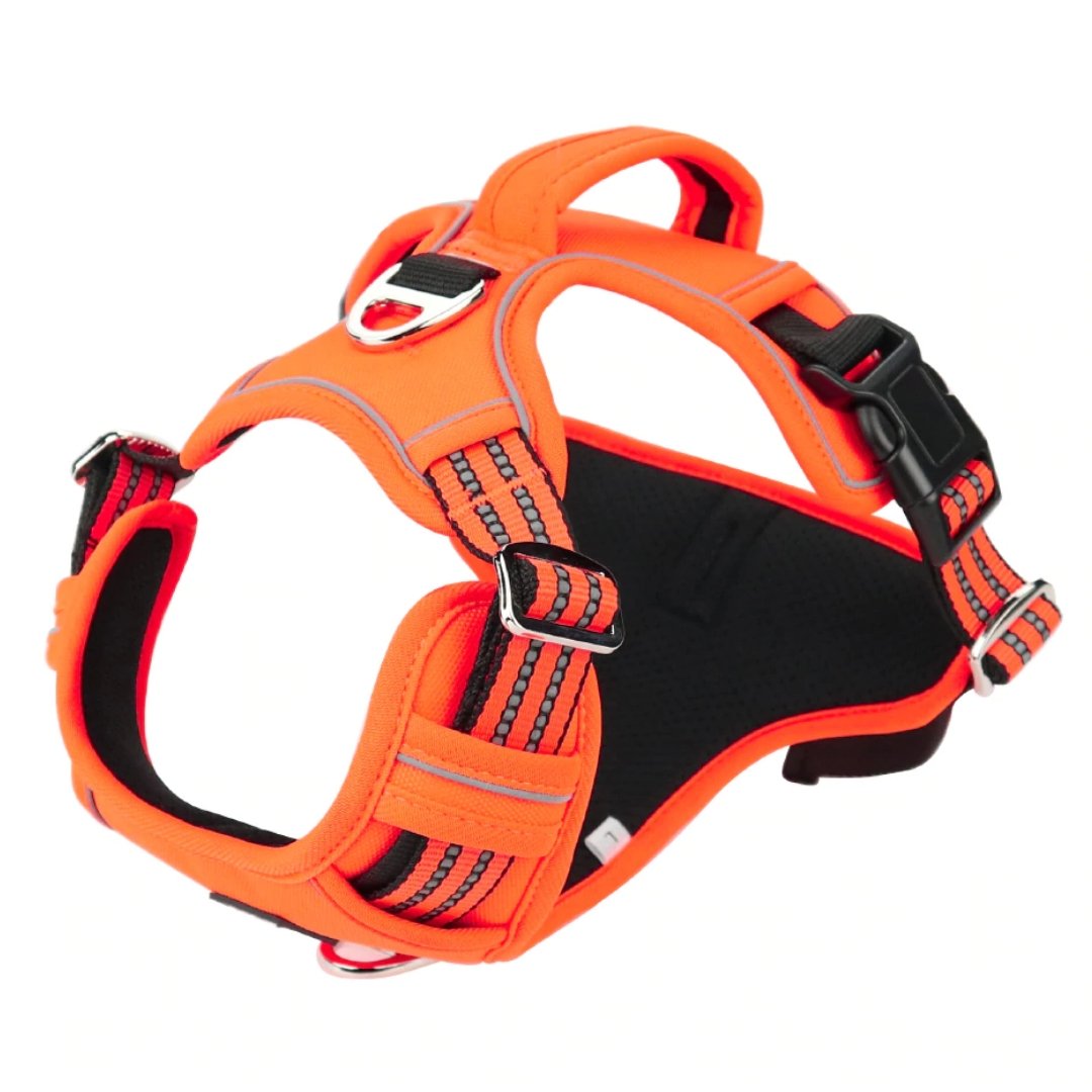 Premium Dog Harness Vest